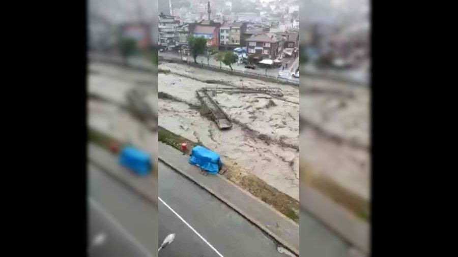 Bat� Karadeniz diken �st�nde