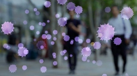 Maymun �i�e�i i�in "k�resel acil durum" ilan edildi