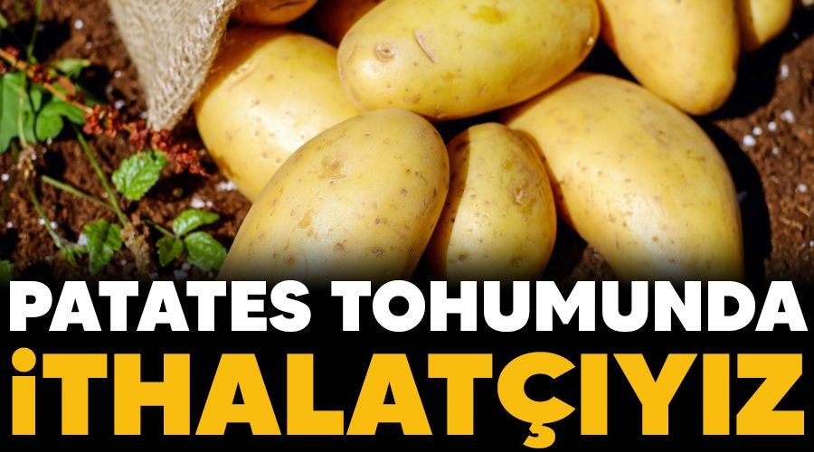 Patates tohumunda ithalat��y�z