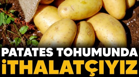 Patates tohumunda ithalat��y�z