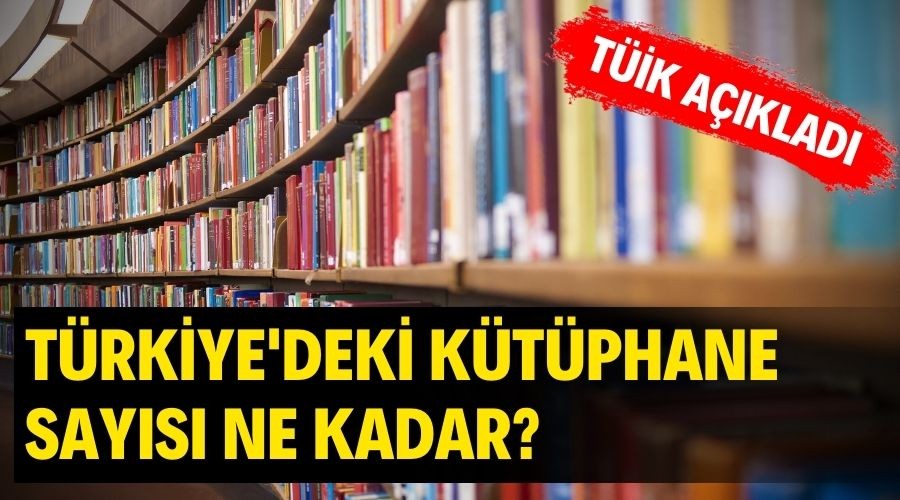 T�rkiye �statistik Kurumu (T��K) 2020 y�l�na ili�kin "K�t�phane �statistikleri"ni a��klad�