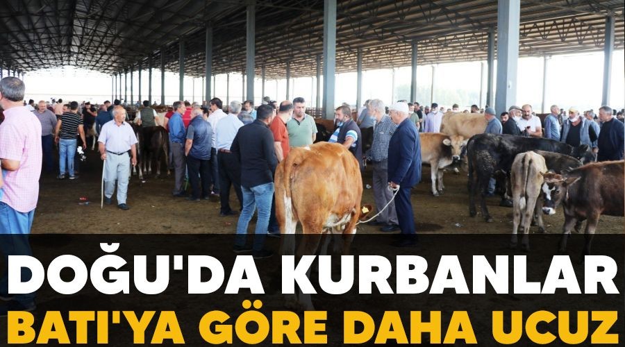 Do�u'da kurbanlar Bat�'ya g�re daha ucuz