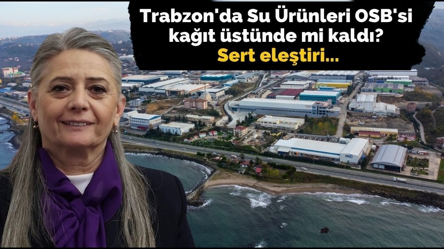 Trabzon'da Su Ürünleri OSB'si kağıt üstünde mi kaldı?