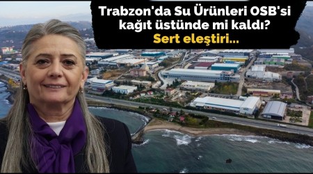 Trabzon'da Su Ürünleri OSB'si kağıt üstünde mi kaldı?
