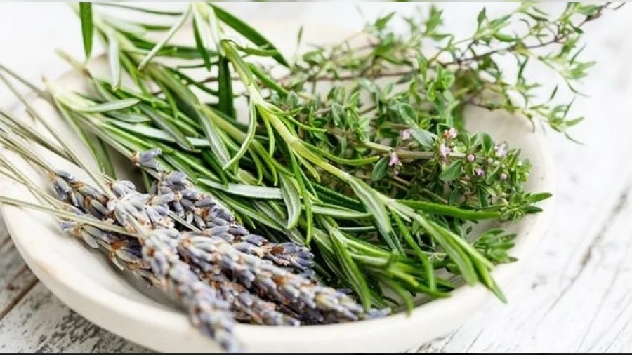 Akci�erleri Temizleyen Do�al Besinler