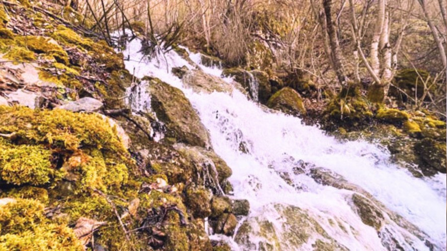 Baharda ��k�p yaz�n kayboluyorlar