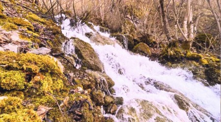 Baharda ��k�p yaz�n kayboluyorlar