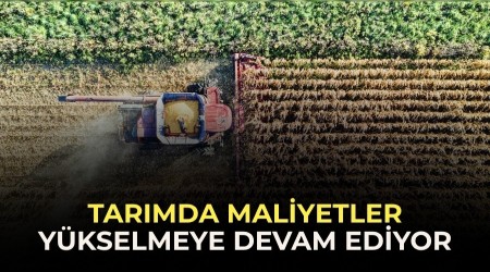 Tar�mda maliyetler y�kselmeye devam ediyor