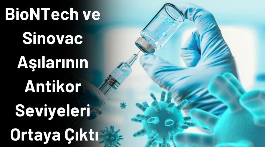 BioNTech ve Sinovac a��lar�n�n antikor seviyeleri ortaya ��kt�!
