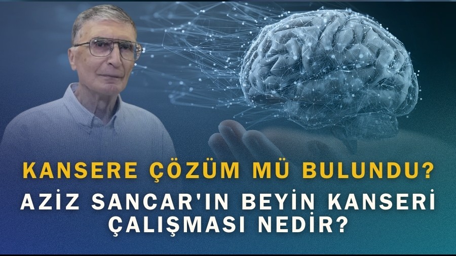 Kansere çözüm mü bulundu? Aziz Sancar'ın beyin kanseri çalışması nedir?