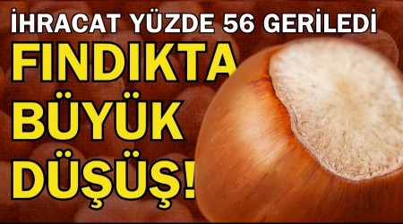 Fındıkta Büyük Düşüş! İhracat Yüzde 56 Geriledi