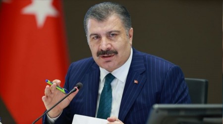 Koca T�rkiye'deki maymun �i�e�i vaka say�s�n� a��klad�