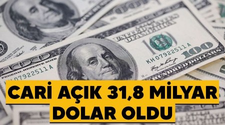 Cari a��k 31,8 milyar dolar oldu