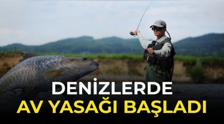 Denizlerde av yasa�� ba�lad�