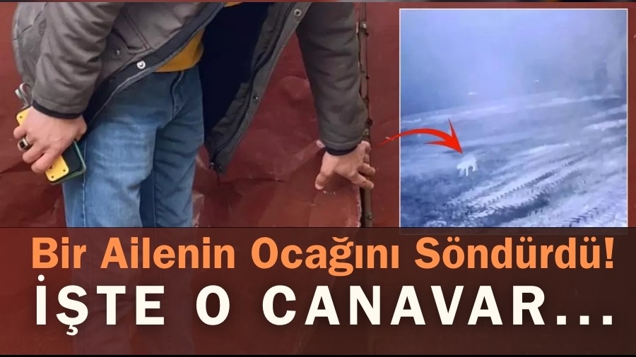 Bir Ailenin Ocağını Söndürdü! İşte O Canavar...