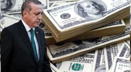 Erdo�an'�n MB a��klamas�n�n ard�ndan dolardan yeni rekor geldi