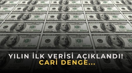 Y�l�n �lk Verisi a��kland�! Cari denge...