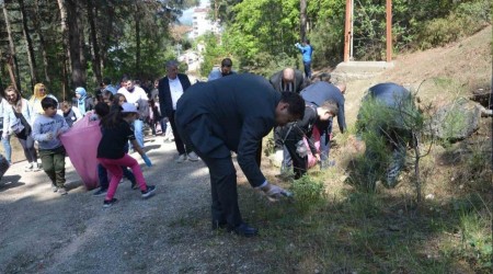 ��p toplay�p fidan diktiler