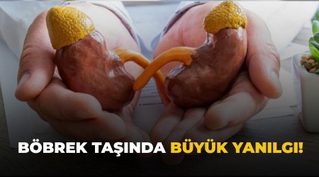 B�brek ta��nda b�y�k yan�lg�!