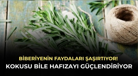 Biberiyenin faydalar� �a��rt�yor! Kokusu bile haf�zay� g��lendiriyor