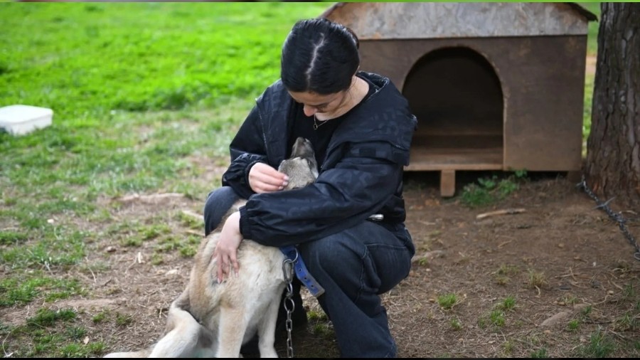 Trabzon'da sokak hayvanlar� i�in g�venli ortam olu�turulacak